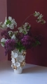 IMG_20260501_102746.jpg
